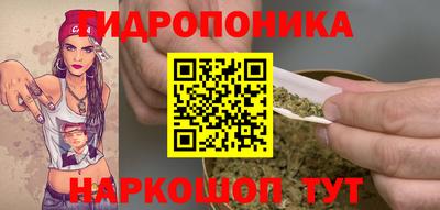 амф Обнинск