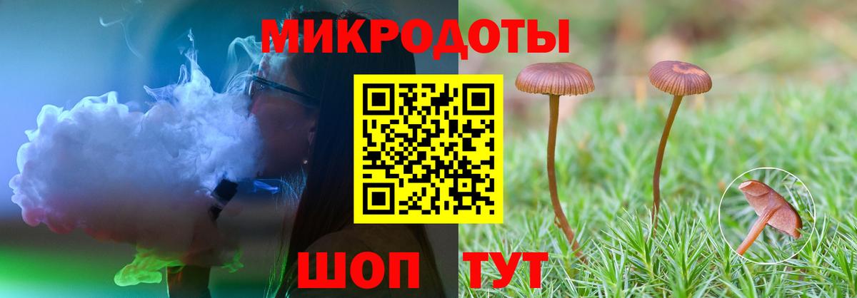 Псилоцибиновые грибы Psilocybine cubensis Сарапул